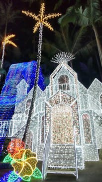 美らヤシパークオキナワ・東南植物楽園に投稿された画像（2023/2/8）