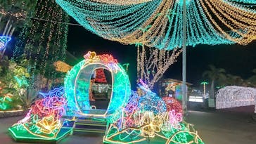 美らヤシパークオキナワ・東南植物楽園に投稿された画像（2023/2/8）