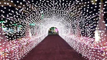 美らヤシパークオキナワ・東南植物楽園に投稿された画像（2023/2/8）