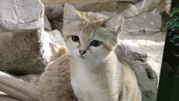 ネオパークオキナワに投稿された画像（2023/2/8）