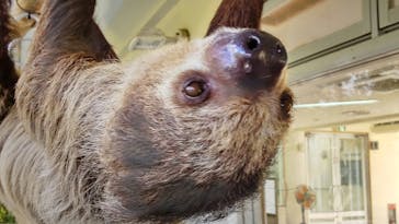 ネオパークオキナワに投稿された画像（2023/2/8）