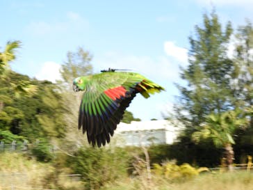 ネオパークオキナワに投稿された画像（2023/2/8）