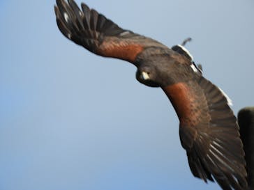 ネオパークオキナワに投稿された画像（2023/2/8）