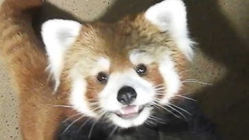 ネオパークオキナワに投稿された画像（2023/2/8）