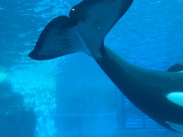 名古屋港水族館に投稿された画像（2023/2/8）