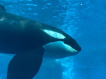 名古屋港水族館に投稿された画像（2023/2/8）