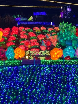 伊豆ぐらんぱる公園に投稿された画像（2023/2/8）