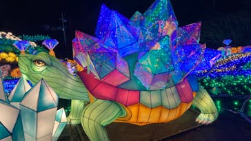 伊豆ぐらんぱる公園に投稿された画像（2023/2/8）