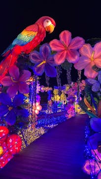 伊豆ぐらんぱる公園に投稿された画像（2023/2/8）