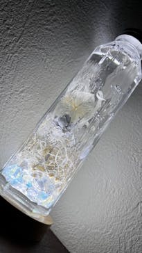 ずこうしつ〜sugamo〜に投稿された画像（2023/2/8）