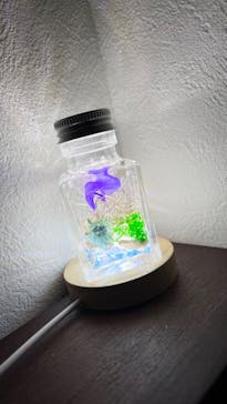 ずこうしつ〜sugamo〜に投稿された画像（2023/2/8）