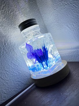 ずこうしつ〜sugamo〜に投稿された画像（2023/2/8）