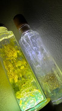 ずこうしつ〜sugamo〜に投稿された画像（2023/2/8）