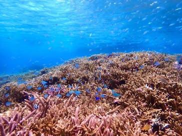 宮古島 ADVENTURE PiPi（ミヤコジマ アドベンチャー ピピ）に投稿された画像（2023/2/8）