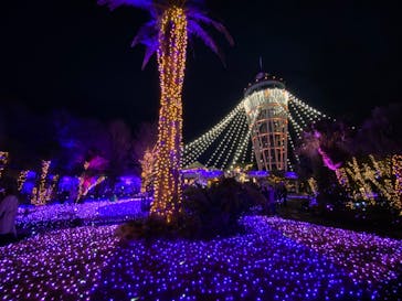 江の島シーキャンドルに投稿された画像（2023/2/8）