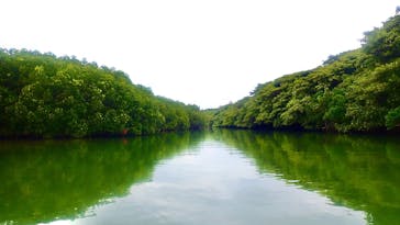 石垣島 ADVENTURE PiPi（イシガキジマアドベンチャーピピ）に投稿された画像（2023/2/8）