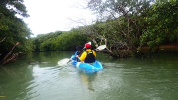 石垣島 ADVENTURE PiPi（イシガキジマアドベンチャーピピ）に投稿された画像（2023/2/8）