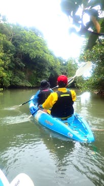 石垣島 ADVENTURE PiPi（イシガキジマアドベンチャーピピ）に投稿された画像（2023/2/8）