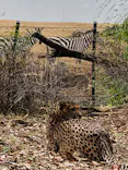 よこはま動物園ズーラシアに投稿された画像（2023/2/8）
