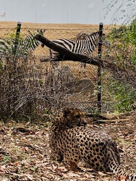 よこはま動物園ズーラシアに投稿された画像（2023/2/8）