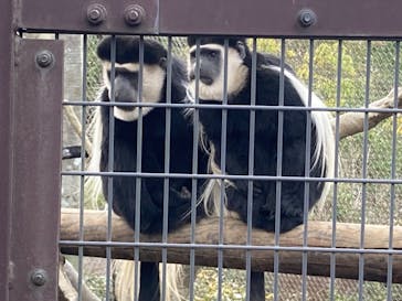 よこはま動物園ズーラシアに投稿された画像（2023/2/8）