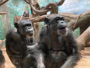 よこはま動物園ズーラシアに投稿された画像（2023/2/8）