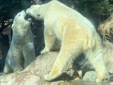 よこはま動物園ズーラシアに投稿された画像（2023/2/8）