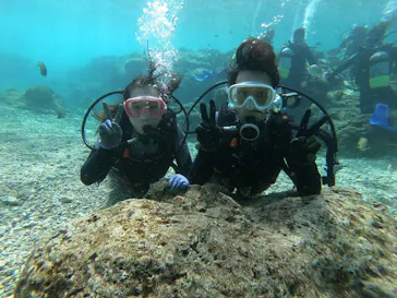 武藤潜水に投稿された画像（2023/2/9）