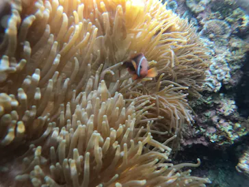 武藤潜水に投稿された画像（2023/2/9）