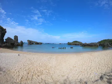 武藤潜水に投稿された画像（2023/2/9）