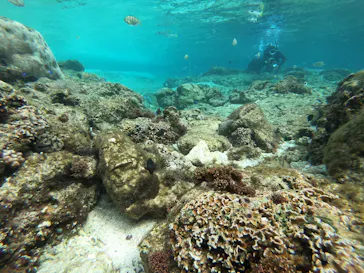 武藤潜水に投稿された画像（2023/2/9）