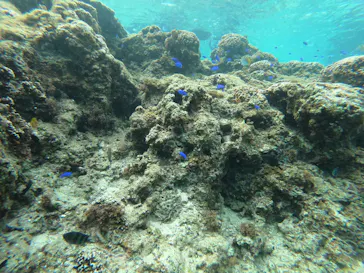 武藤潜水に投稿された画像（2023/2/9）