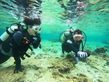 沖縄マリンサービス碧に投稿された画像（2023/2/9）