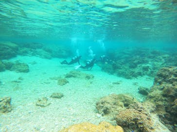 沖縄マリンサービス碧に投稿された画像（2023/2/9）