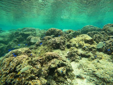 沖縄マリンサービス碧に投稿された画像（2023/2/9）