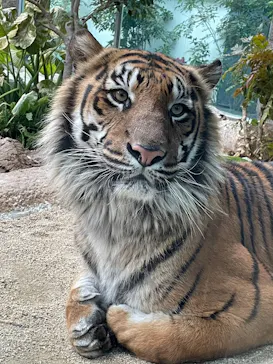 神戸どうぶつ王国に投稿された画像（2023/2/9）