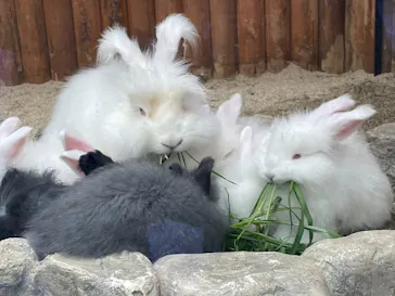 神戸どうぶつ王国に投稿された画像（2023/2/9）