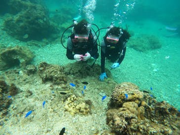 沖縄マリンサービス碧に投稿された画像（2023/2/9）