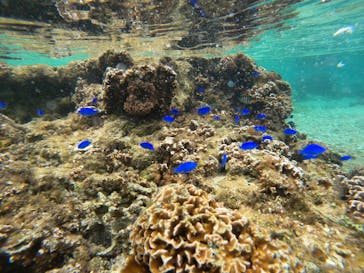 沖縄マリンサービス碧に投稿された画像（2023/2/9）