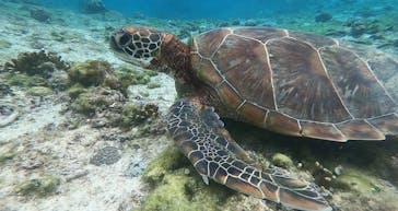 宮古島 ADVENTURE PiPi（ミヤコジマ アドベンチャー ピピ）に投稿された画像（2023/2/9）