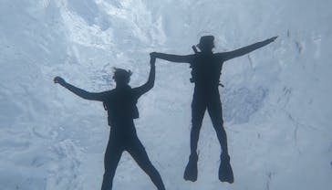 宮古島 ADVENTURE PiPi（ミヤコジマ アドベンチャー ピピ）に投稿された画像（2023/2/9）