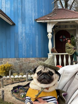 ムーミンバレーパークに投稿された画像（2023/2/9）