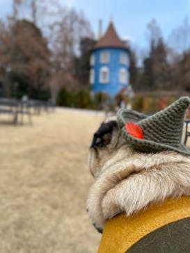 ムーミンバレーパークに投稿された画像（2023/2/9）