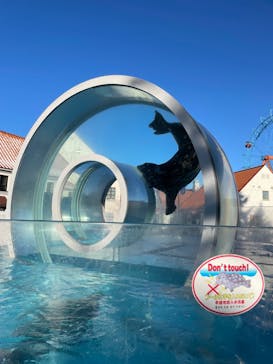 登別マリンパークニクスに投稿された画像（2023/2/9）