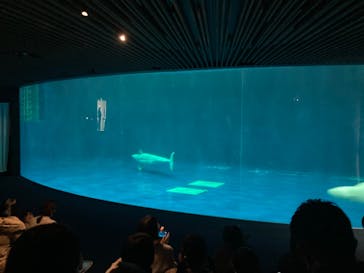 島根県立 しまね海洋館に投稿された画像（2023/2/9）