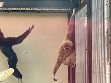 東武動物公園に投稿された画像（2023/2/9）