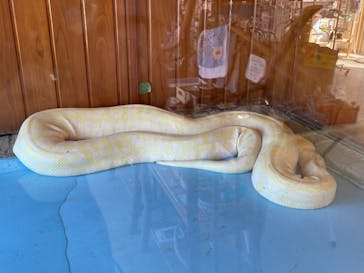 東武動物公園に投稿された画像（2023/2/9）