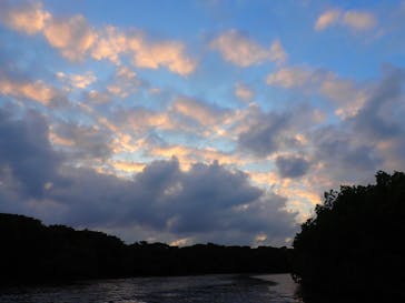 石垣島 ADVENTURE PiPi（イシガキジマアドベンチャーピピ）に投稿された画像（2023/2/9）