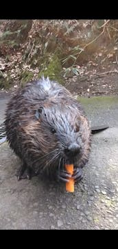 長崎バイオパークに投稿された画像（2023/2/10）