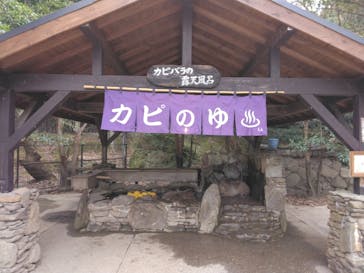 長崎バイオパークに投稿された画像（2023/2/10）